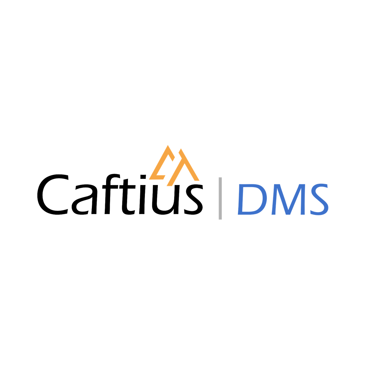 Caftius DMS